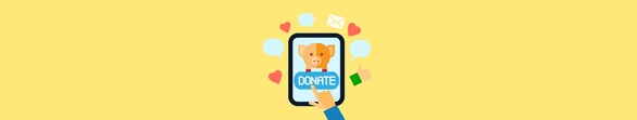 54_online-donation-report