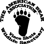 American Bear Association